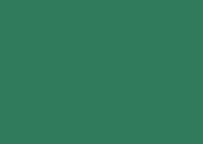 Championship Green